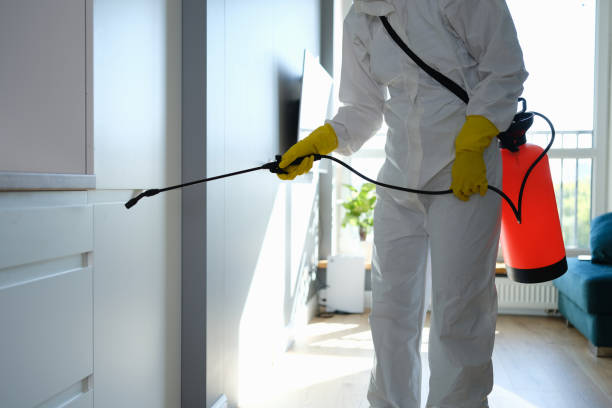 Best Residential Mold Removal  in Raleigh, NC
