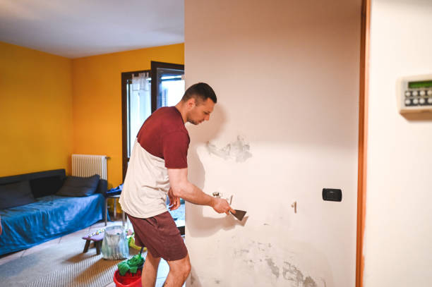 Best Mold Testing  in Raleigh, NC